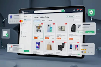 a professional wordpress woocommerce online store