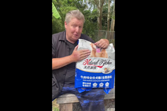 create authentic pet product ugc as a dad to 15 rescue dogs