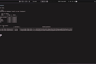 create web app ,rag system , small finetunning