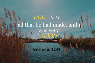 create edit crowdfunding website on web flow wordpress