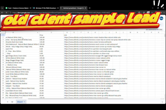 build python web scraper for lead generation and data mining