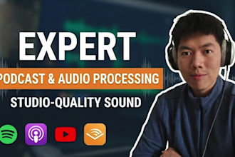 professionally edit, clean and master your podcast