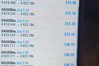 forex gold ea robot trading robot ea robot forex trading ea robot gold ea robot