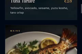 c creazione sito web