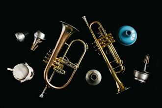 record indie pop trumpet of your dreams