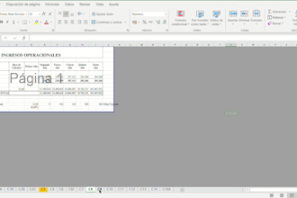 design a professional excel spreadsheet