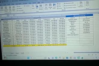 automate excel payroll system and dashboard