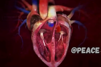 create 3d medical animation and anatomy explainer videos