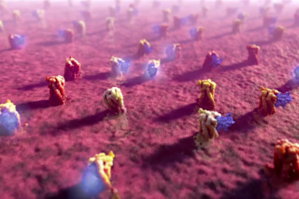 create 3d medical animation video, pharmaceutical, scientific drug moa animation