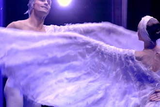 create outstanding duo ballet dance, couple contemporary dance
