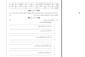 urdu inpage typing, book formatting and coreldraw design