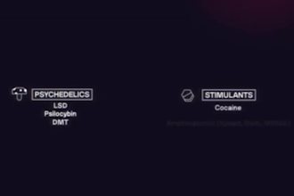 create 3d fern style documentary animation