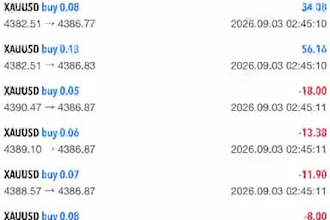 setup profitable forex ea bot, forex trading bot, gold ea