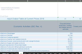 clean and organize excel data