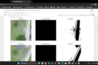 do image classification, machine learning, data science, ai, ml, clustering
