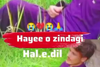 create urdu whatsapp status videos for you