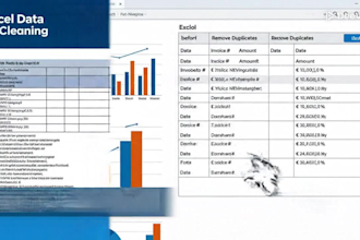 do data entry, spreadsheet formatting and data cleaning