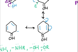 tutor you chemistry and organic chemistry course