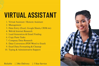 be your personal assistant for data entry and management, remote work