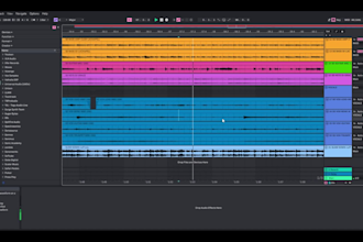 professionally mix and master your song