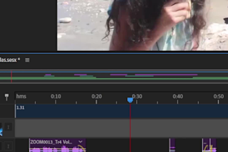 do complete audio post production for your film or video