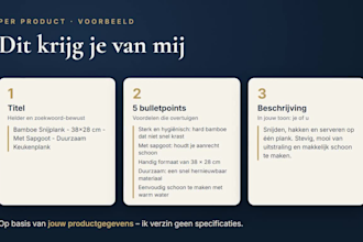 write dutch product descriptions for your bol com or webshop
