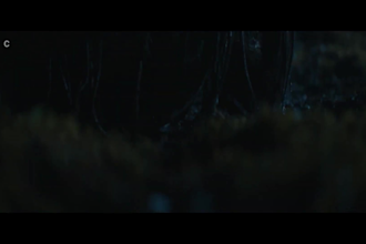 vfx compositing visual effec, blood effect,horror vfx fire cgi 3d animation cgi