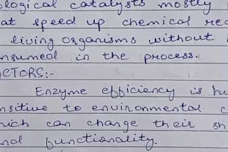 do neat handwritten assignments and notes