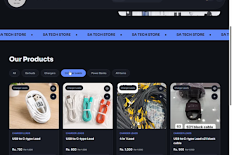 build responsive and professional website for your business