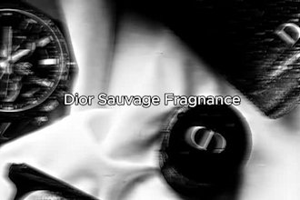 design proffesional wordpress website
