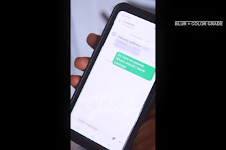 professionally blur, censor, or hide anything in your video
