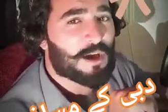 translate pashto persian and english professionally