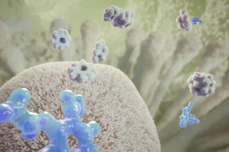 create 3d medical moa animation, oral drug delivery gastrointestinal animation