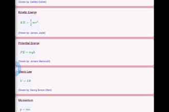 build a python django web application for you