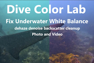 restore white balance in diving photos and clips