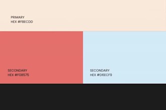 design professional brand color scheme, visual style guide, visual style guide