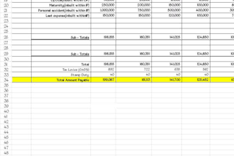 do accurate data entry, excel work and background removal