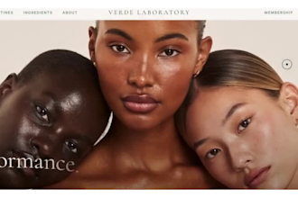 build shopify store, design or redesign dropshipping ecommerce website