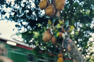 edit 29s cinematic b roll reel with color grading and transitions