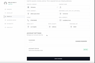 build a professional woocommerce my account for your store