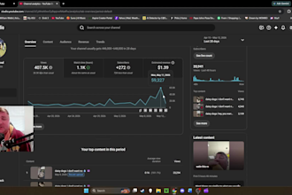 consult on youtube growth ads and ypp for solopreneurs