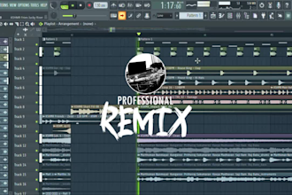 professionally remix or remake your song into ready hit