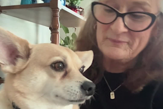 make pet videos for you