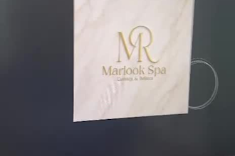 design a professional logo for your busines