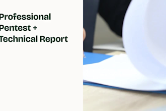 conduct professional pentesting and vulnerability assessment