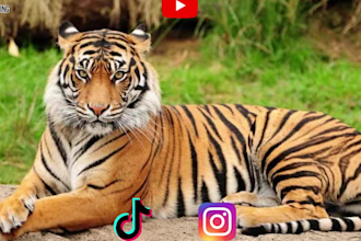 editing ads and videos for social med