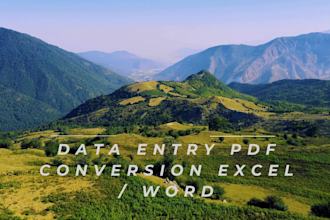 accurate data entry and PDF to excel conversion