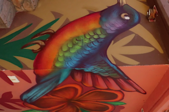 creative and original designs