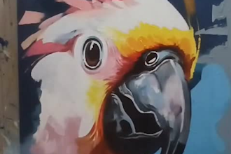 draw anything real acrylic and oil painting on canvas