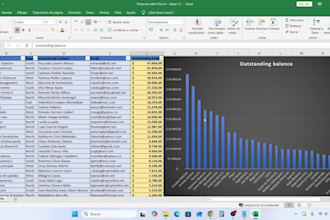 organize and clean your excel spreadsheets professionally